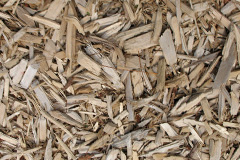 biomass boilers Llwynypia